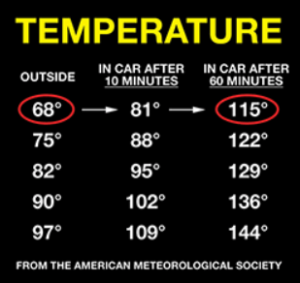 temp